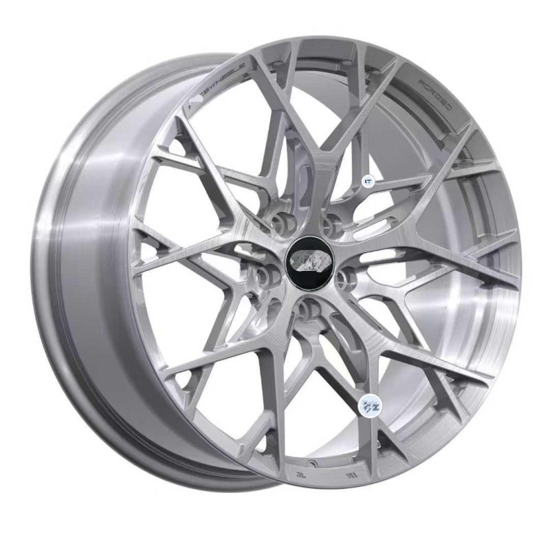 FORGED WHEELS FOR AUDI (3)